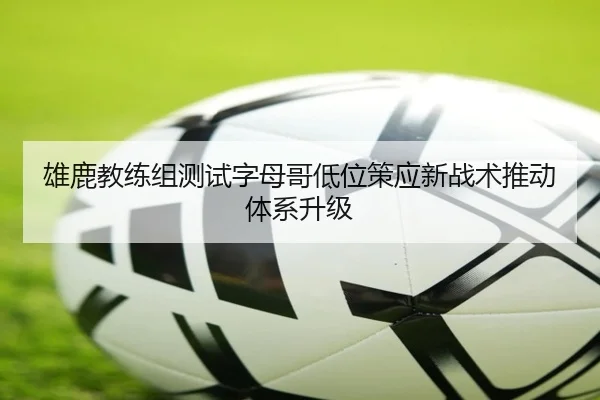 雄鹿教练组测试字母哥低位策应新战术推动体系升级